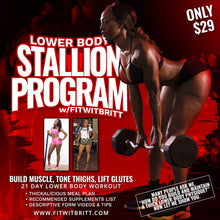LowerBody Stallion Program