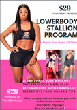 LowerBody Stallion Program